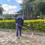 Jardinagem Profissional