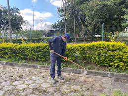 Jardinagem Profissional